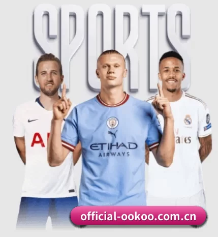 official-ookoo.com.cn的方向 - 长期内容价值积累